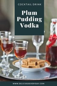 Plum Pudding Vodka - Perfect for Christmas Cocktails!