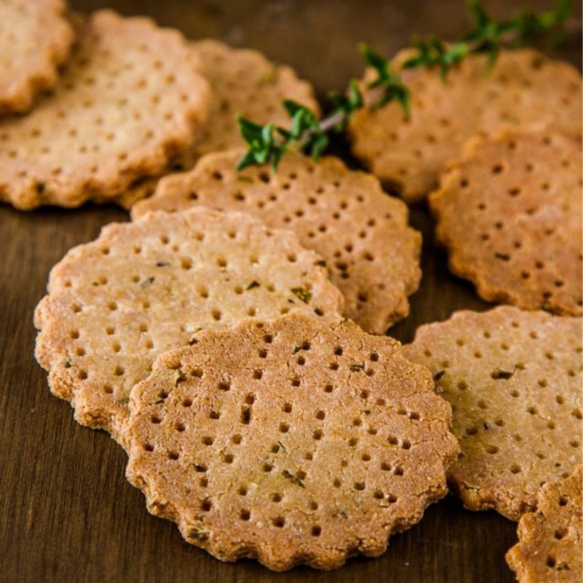 Herb-Garlic Amaranth Crackers | Vegan Gluten-Free | Delicious Everyday
